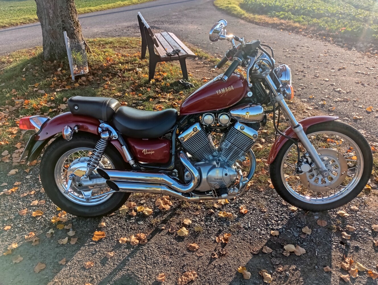Yamaha XV 535 Virago